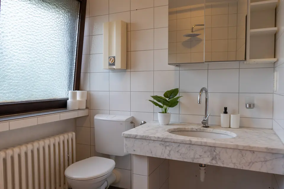 The shared bathroom 1